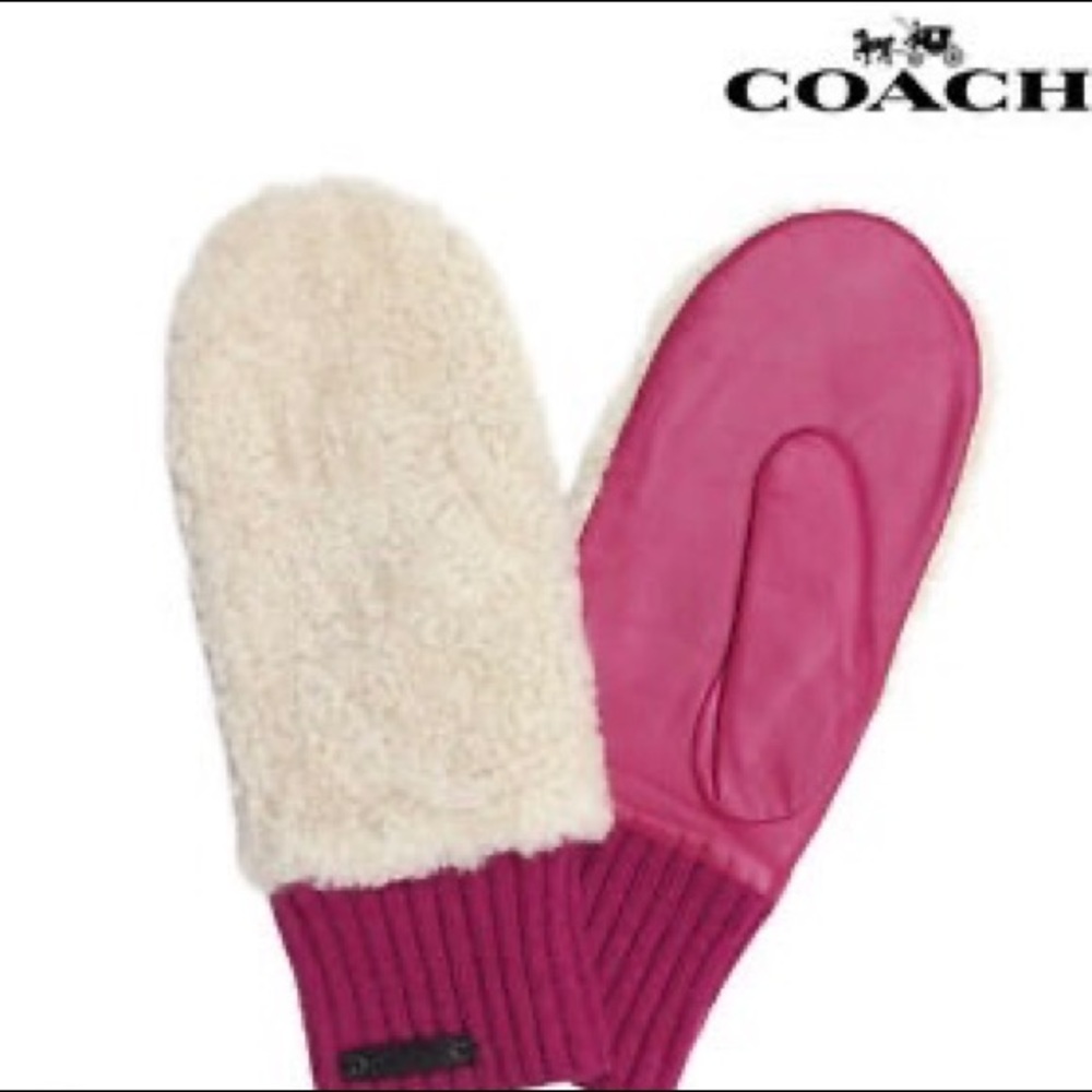 Coach Leather & Shearling mittens 💞 BRAND NEW